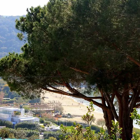 Scaglieri Mare *